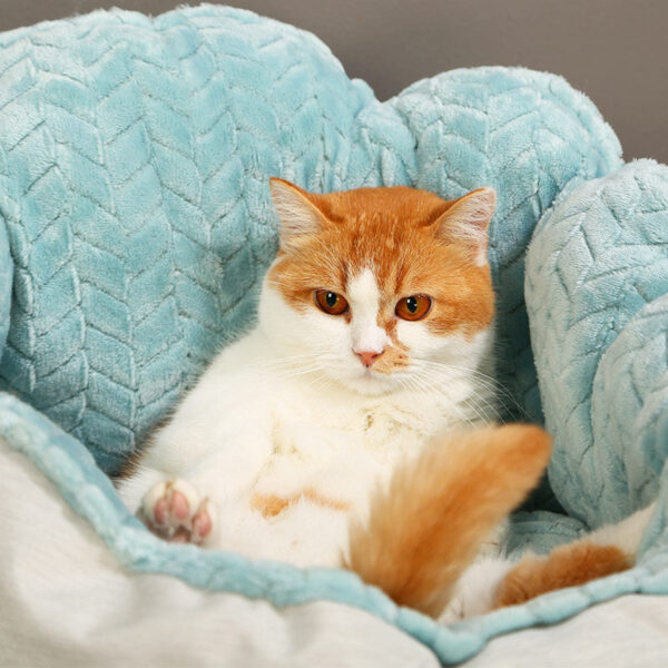 1325613078904.jpg Cat Nesting Bed