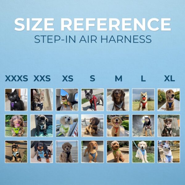 Voyager Step-In Air Dog Harness - All Weather Mesh, Reflective, No Pull Harness for Small, Medium Dogs, Cats - Secure with Hook & Loop Fastener, Buckle, Double D-Rings - Army/Black Trim, XXXS