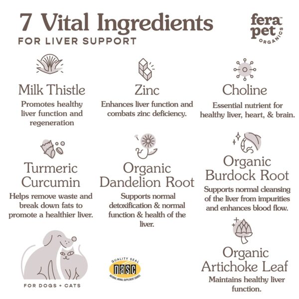 Liver Support for Dogs & Cats