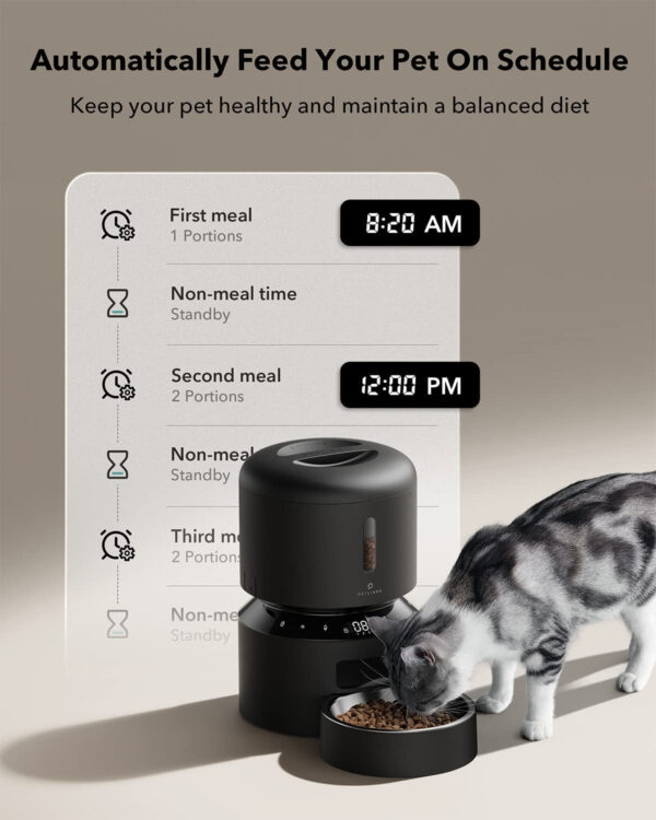Automatic Cat Feeder, Automatic Cat Food Dispenser with Freshness Preservation, Timed Pet Feeders for Dry Food, up to 50 Portions 6 Meals per Day, Granary Pet Feeder for Cats Dogs