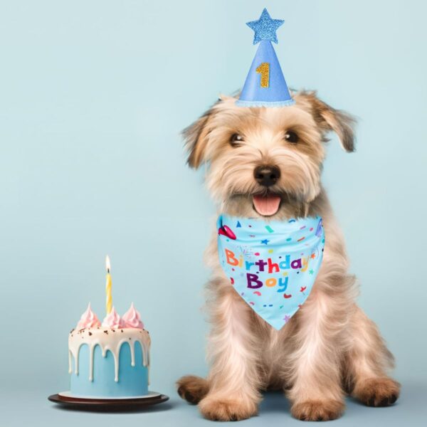 Dog Birthday Party Supplies, Dog Birthday Bandana Set, Dog Boy Girl Birthday Party Hat with Numbers for Large Medium Small Dogs Pet (Blue)