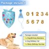 Dog Birthday Party Supplies, Dog Birthday Bandana Set, Dog Boy Girl Birthday Party Hat with Numbers for Large Medium Small Dogs Pet (Blue)