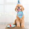 Dog Birthday Party Supplies, Dog Birthday Bandana Set, Dog Boy Girl Birthday Party Hat with Numbers for Large Medium Small Dogs Pet (Blue)