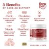 Cardiac Support for Dogs & Cats