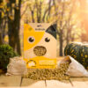 Happy Tummy Treats with Prebiotics