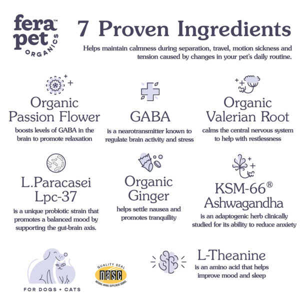 Calming Support for Dogs & Cats