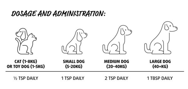 Hip + Joint Supplement for Dogs & Cats