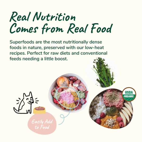 Organic Healthy Skin & Coat Supplement