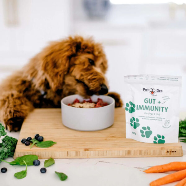 Gut + Immunity Supplement for Dogs & Cats