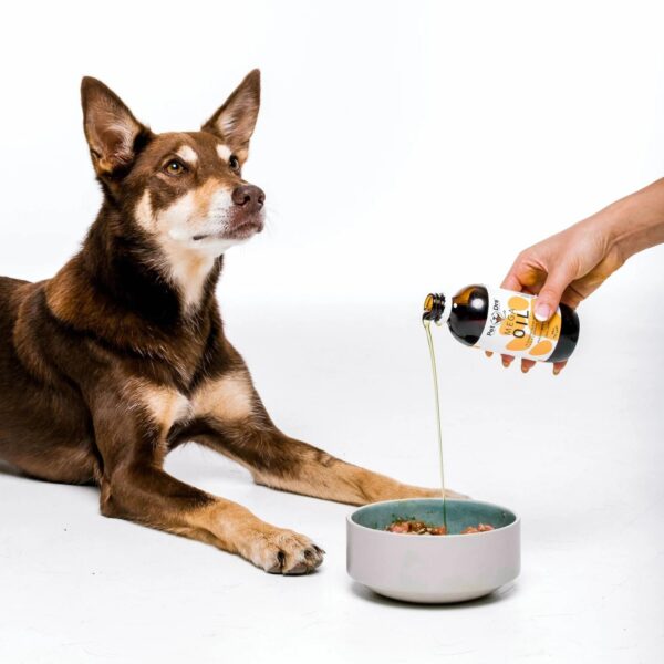 Mega Oil for Dogs & Cats