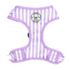 Purple Candy Stripe - Harness