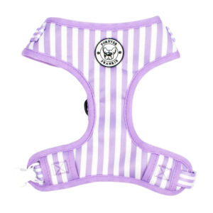 Purple Candy Stripe - Harness