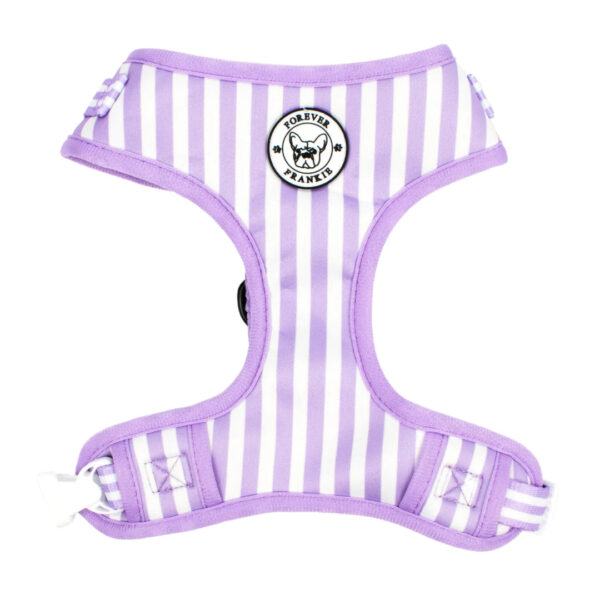 Purple Candy Stripe - Harness