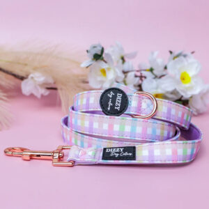Sherbet Gingham - Leash