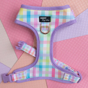 Sherbet Gingham - Harness