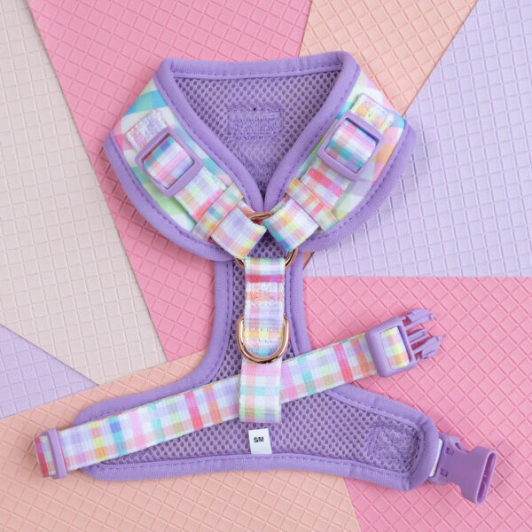 Sherbet Gingham - Harness