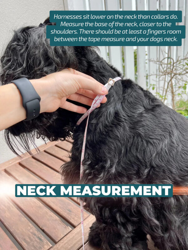 Peach Posies - Harness