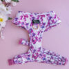 Pink Butterflies - Harness