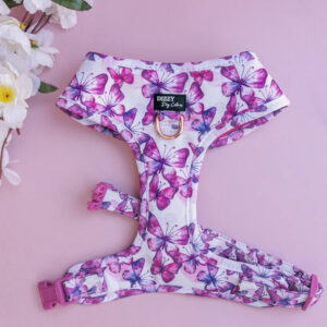 Pink Butterflies - Harness