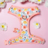 Peach Posies - Harness