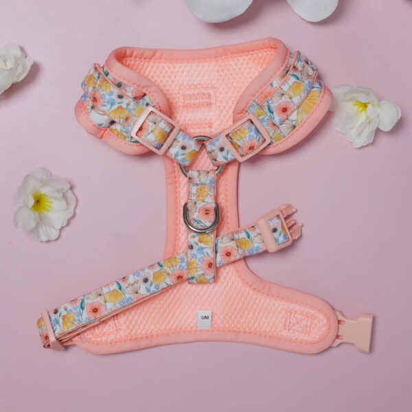 Peach Posies - Harness