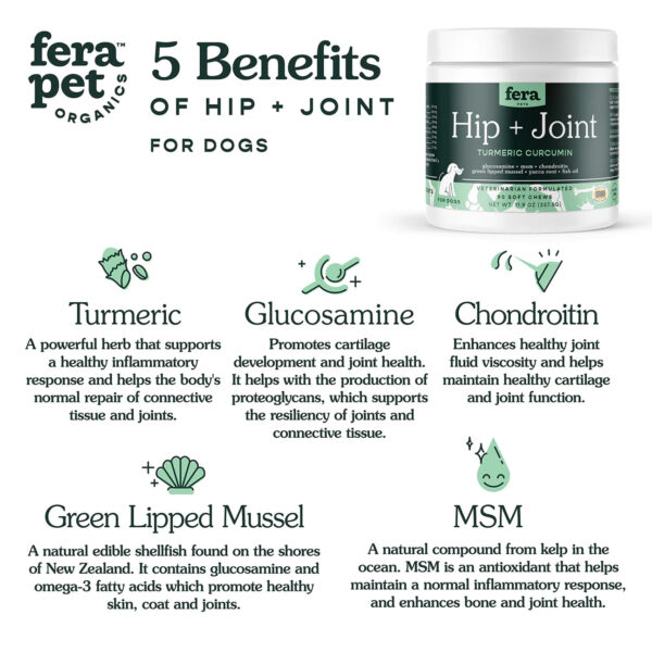 Hip + Joint Support for Dogs & Cats