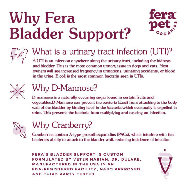 Bladder Support for Dogs & Cats
