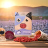 Immune Booster Treats With Blueberries