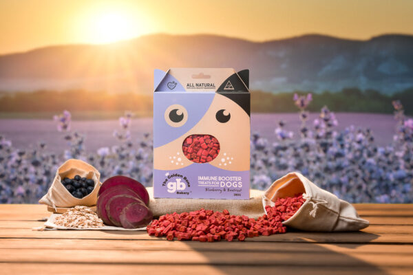 Immune Booster Treats With Blueberries