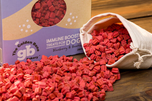 Immune Booster Treats With Blueberries