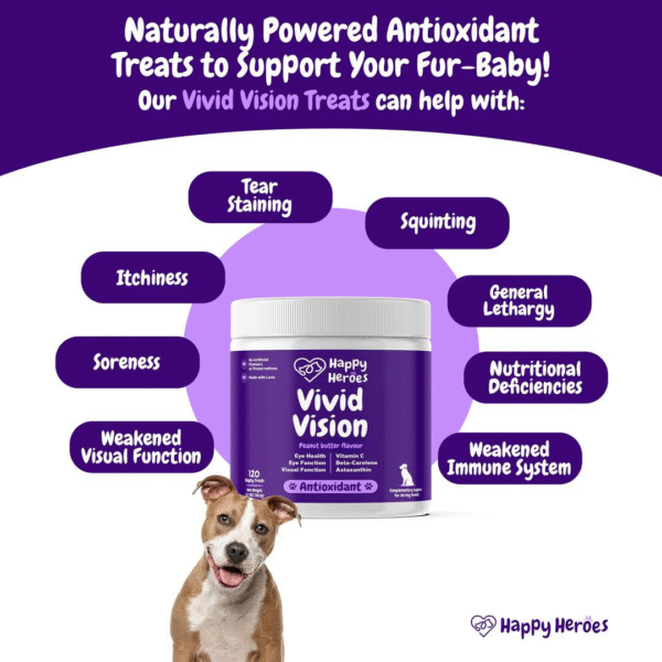 Vivid Vision Soft Chews