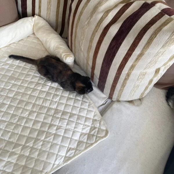 Waterproof Pet Dog Bed Blanket Mat Dog Sofa Couch Slipcover Pet Pad with Neck Pillow Washable Cat Calming Nest for Travel Home