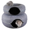 Donut Cat Tunnel