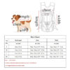 Pet Carrier Backpack