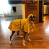 S-5XL Pets Small Dog Raincoats Reflective Small Large Dogs Rain Coat Waterproof Jacket Fashion Outdoor Breathable Puppy Clothes