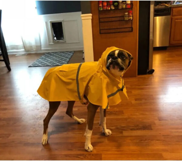 S-5XL Pets Small Dog Raincoats Reflective Small Large Dogs Rain Coat Waterproof Jacket Fashion Outdoor Breathable Puppy Clothes