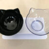 Cat's Water Bowls