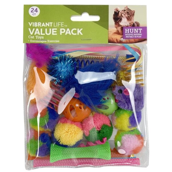 Vibrant Life 24 Piece Cat Toys