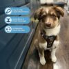 Voyager Step-In Air Dog Harness - All Weather Mesh, Reflective, No Pull Harness for Small, Medium Dogs, Cats - Secure with Hook & Loop Fastener, Buckle, Double D-Rings - Army/Black Trim, XXXS