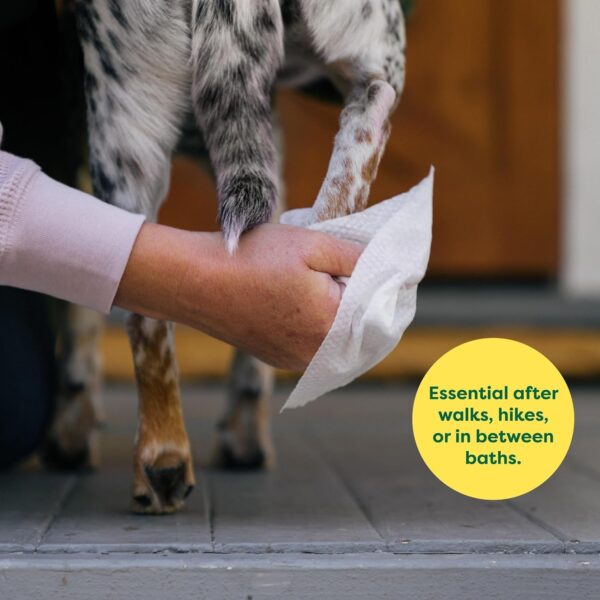 Pet Grooming Wipes for Dogs and Cats, Hypoallergenic, Cleaning and Hydrating, for Paws, Body and Butt, Unscented, 100 Count