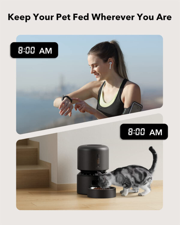 Automatic Cat Feeder, Automatic Cat Food Dispenser with Freshness Preservation, Timed Pet Feeders for Dry Food, up to 50 Portions 6 Meals per Day, Granary Pet Feeder for Cats Dogs