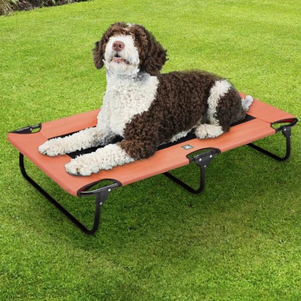 Moisture Proof Dog Bed With Breathable Mesh Fabric For Easy Cleaning Durable Steel Frame Pet Bed