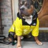 Dog Raincoat