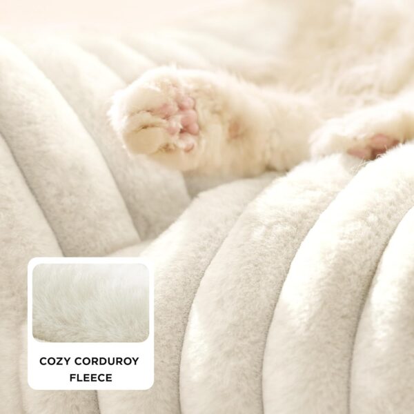 Cute Couch for Pets - Fluffy Cat Sofa with Premium Soft Corduroy Fleece, Fuzzy Couch Bed with Removable Washable Cover, Supportive Cat Chair for Indoor Cats, 24Inch, Cream