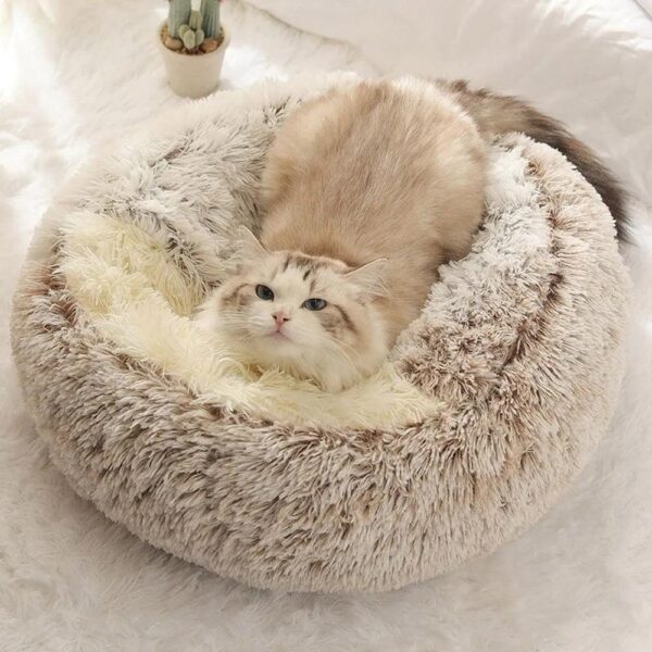 Warm Bed Nest