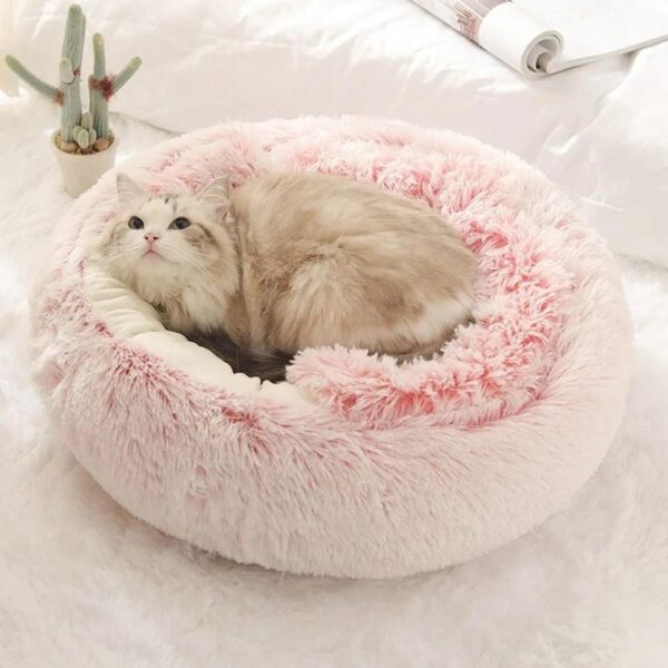 Warm Bed Nest
