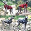 Winter Dog Jacket With Harness