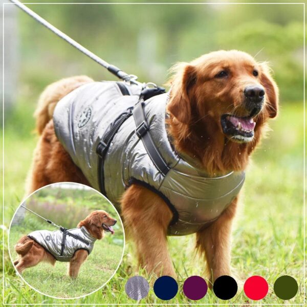 Winter Dog Jacket With Harness