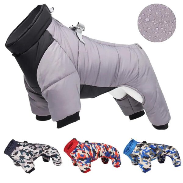 Winter Dog Suit