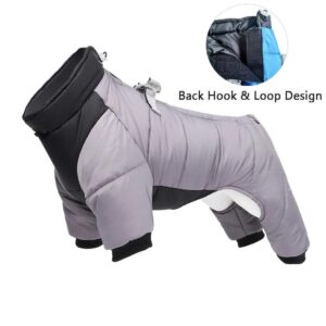 Winter Dog Suit